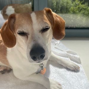 Meet your Posher, Edie